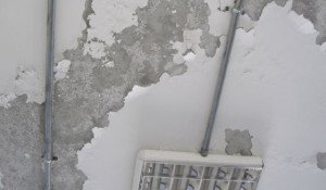 paint peel off