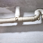 toilet ceiling mold