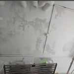 ceiling mold problems